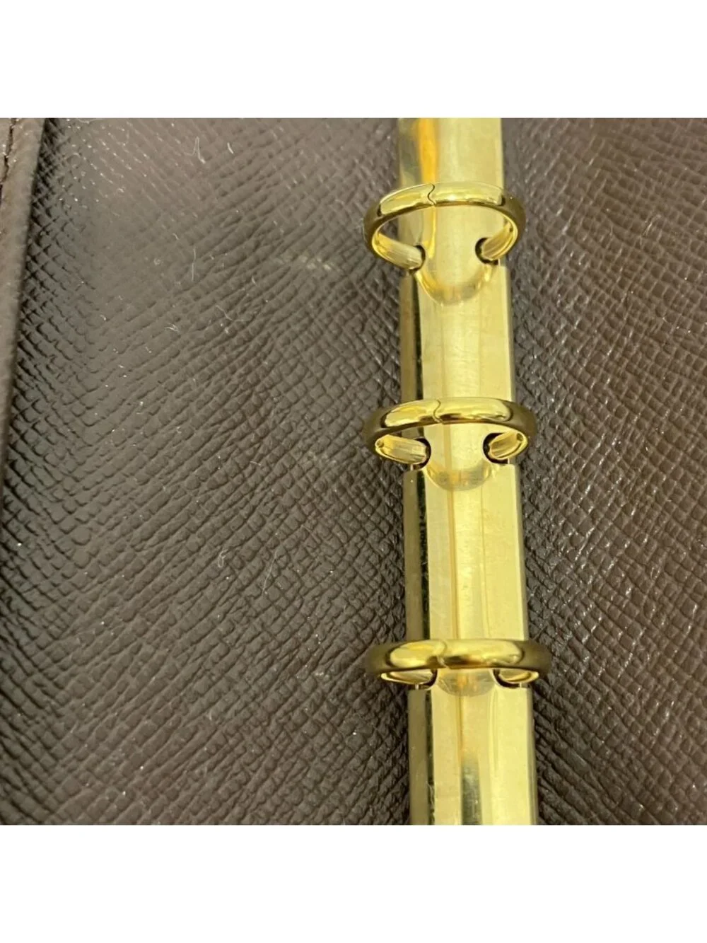 Louis Vuitton brand louis